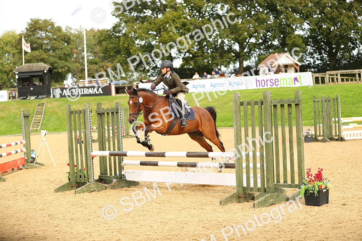 SBM_71280 - J18 - Junior Pony 85cm Championship