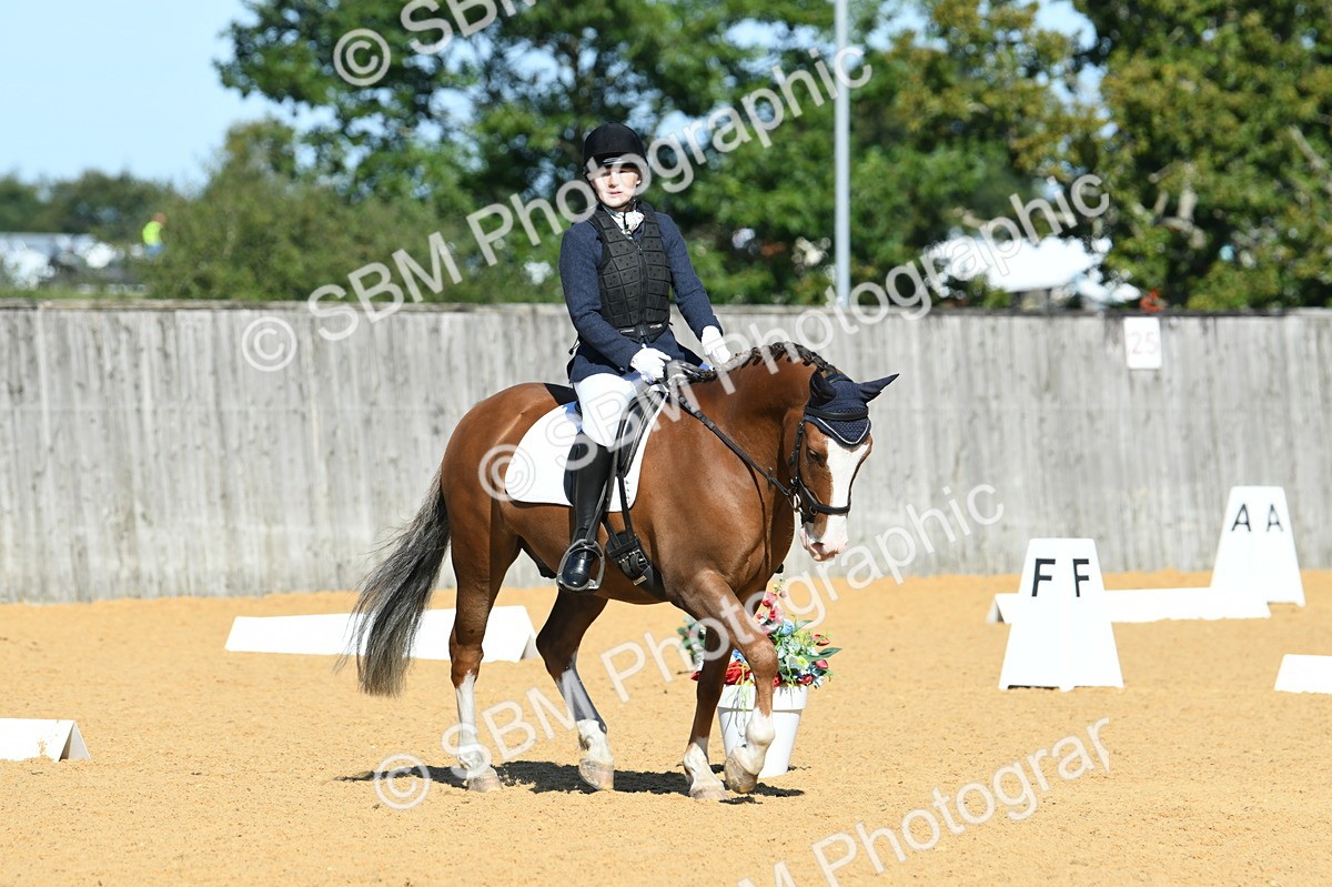 SBM_18128 - D4 - Small Tour Championship - Intro B