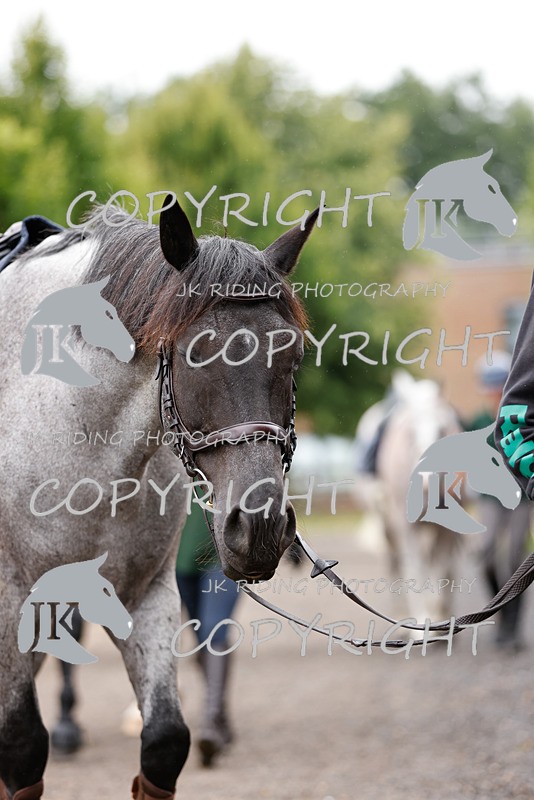 _R6A0023 - General Photos of the week!