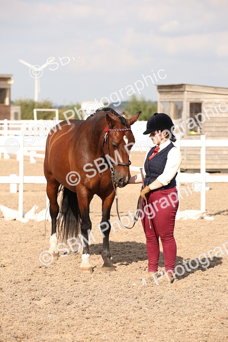 SBM_07427 - Class 26 IH Foreign Breeds -Part bred