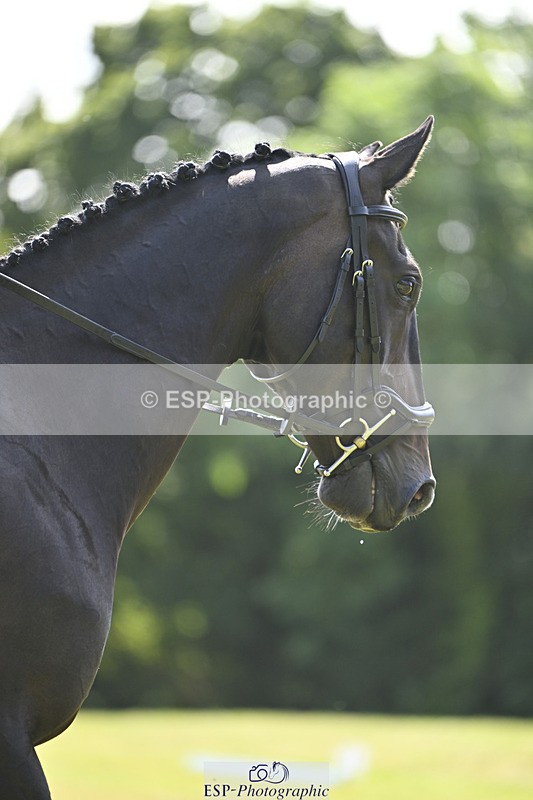 240824X-113058-25904 - D80 Section E and F 11.00 to 12.00