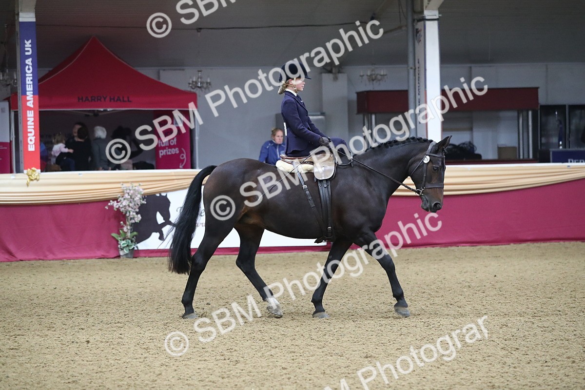 SBM_09327 - Class 101 Equitation (best rider), Junior