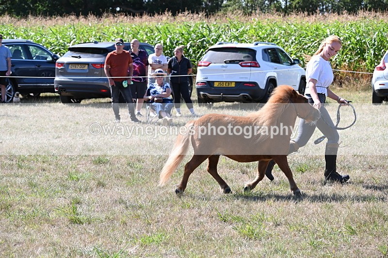 WJ6_4818 - Class 17 Mountain & Moorland