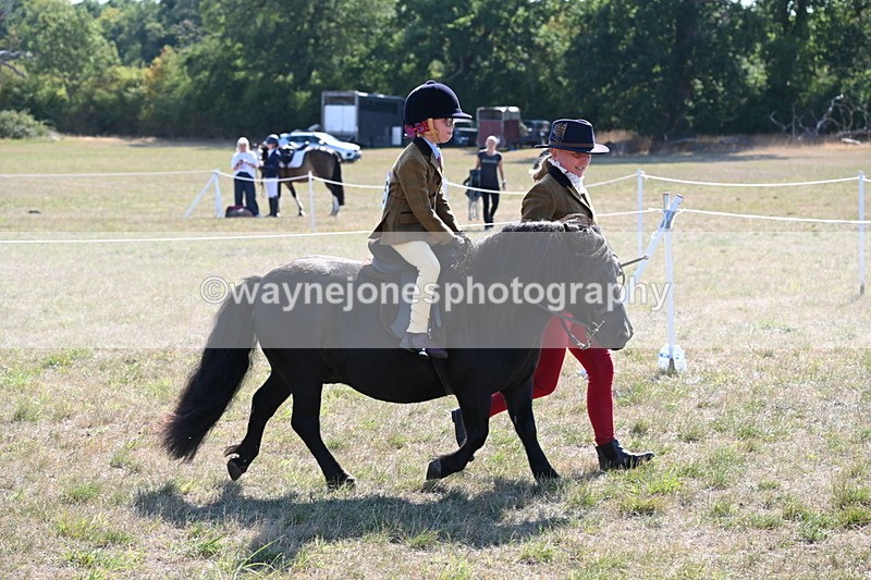 WJ6_7447 - Class 34 Judges Choice