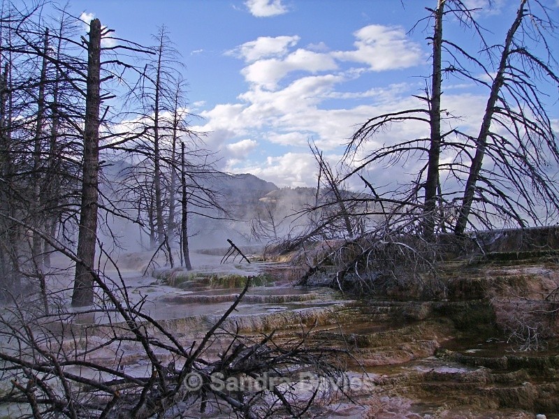  - Yellowstone