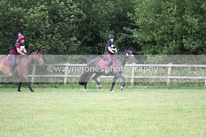WJ6_5699 - 60cm Pairs XC