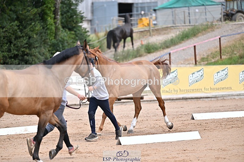 250716-130626-00330 - Trot Up 12.30 to 1.30