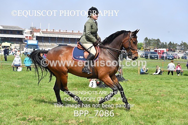 BPP_7086 - CLASS 4 B&C Champ Qual (1.25m - 1.30m)