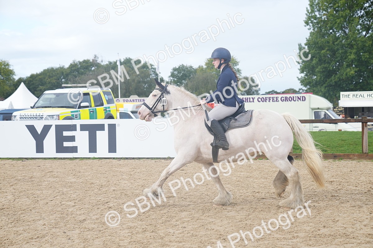 SBM_01873 - J54 - Clear Round 50cm