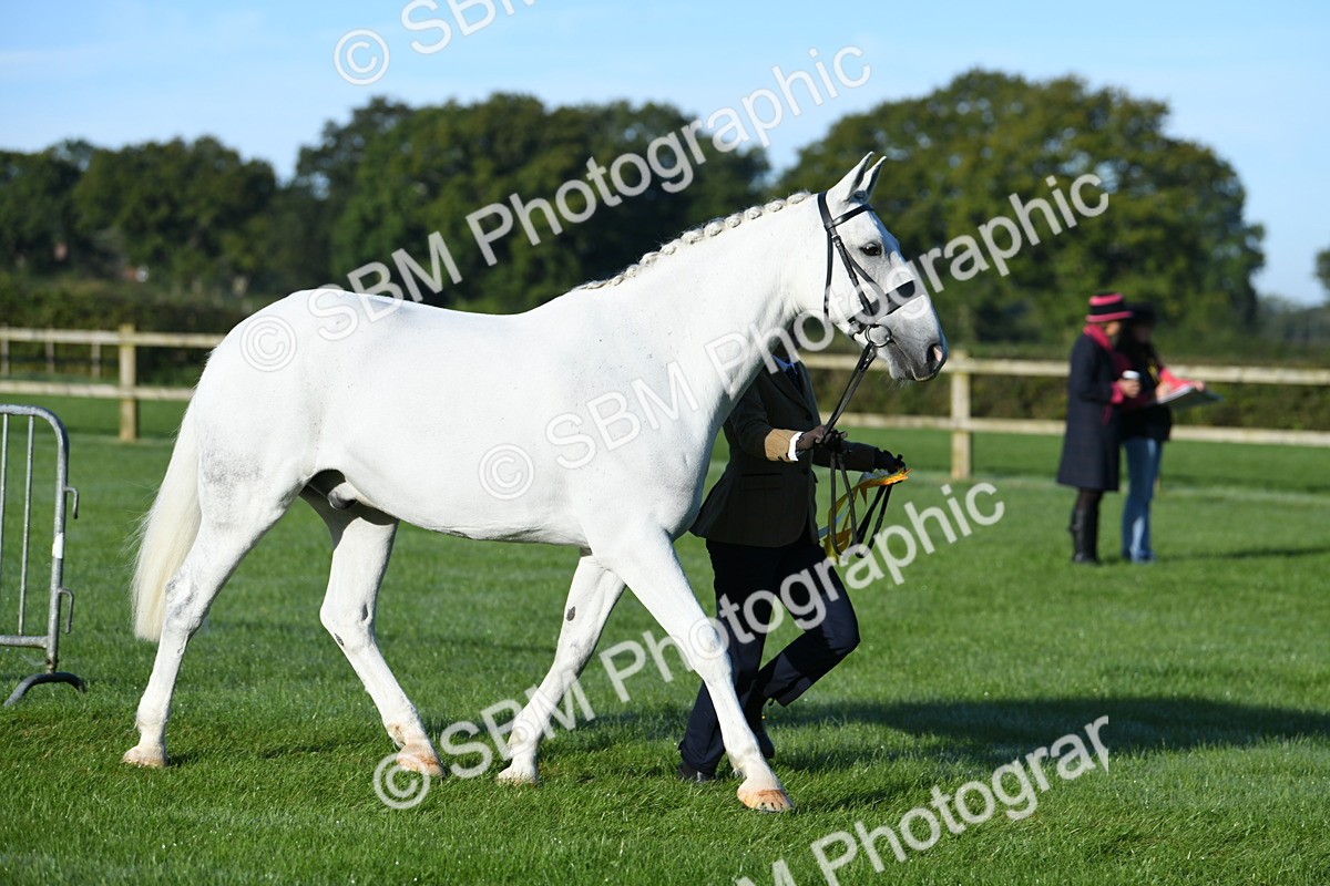 SBM_32866 - S15 - Condition & Turnout In Hand