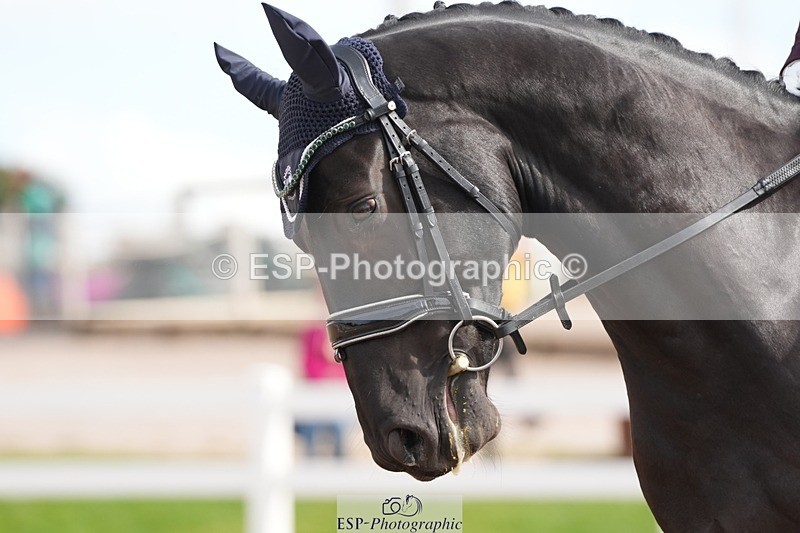 250906-120811-02112 - 064-Katie.MulvihillBilly.Romeo