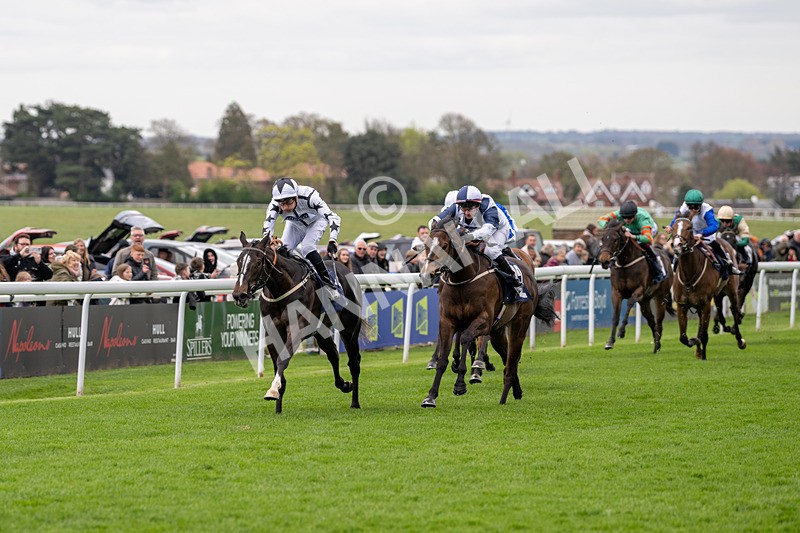 160425-Race 1-Ali Shuffle-2235 - Race 1