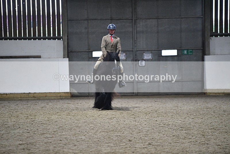 WJ5_8645 - Class 14 Novice Ridden/Rider