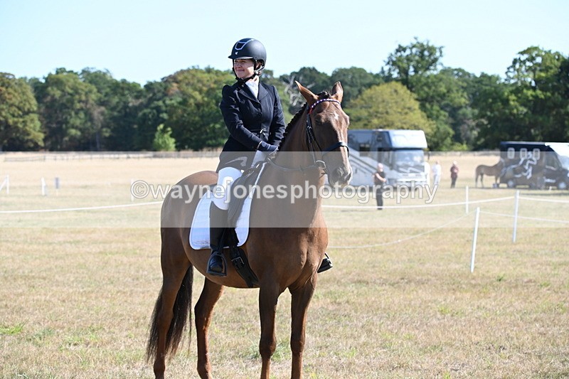WJ6_7293 - Class 33 Rescue Pony
