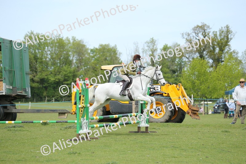 20260426-2063 - Class 15 - Absolute Novice 70cm