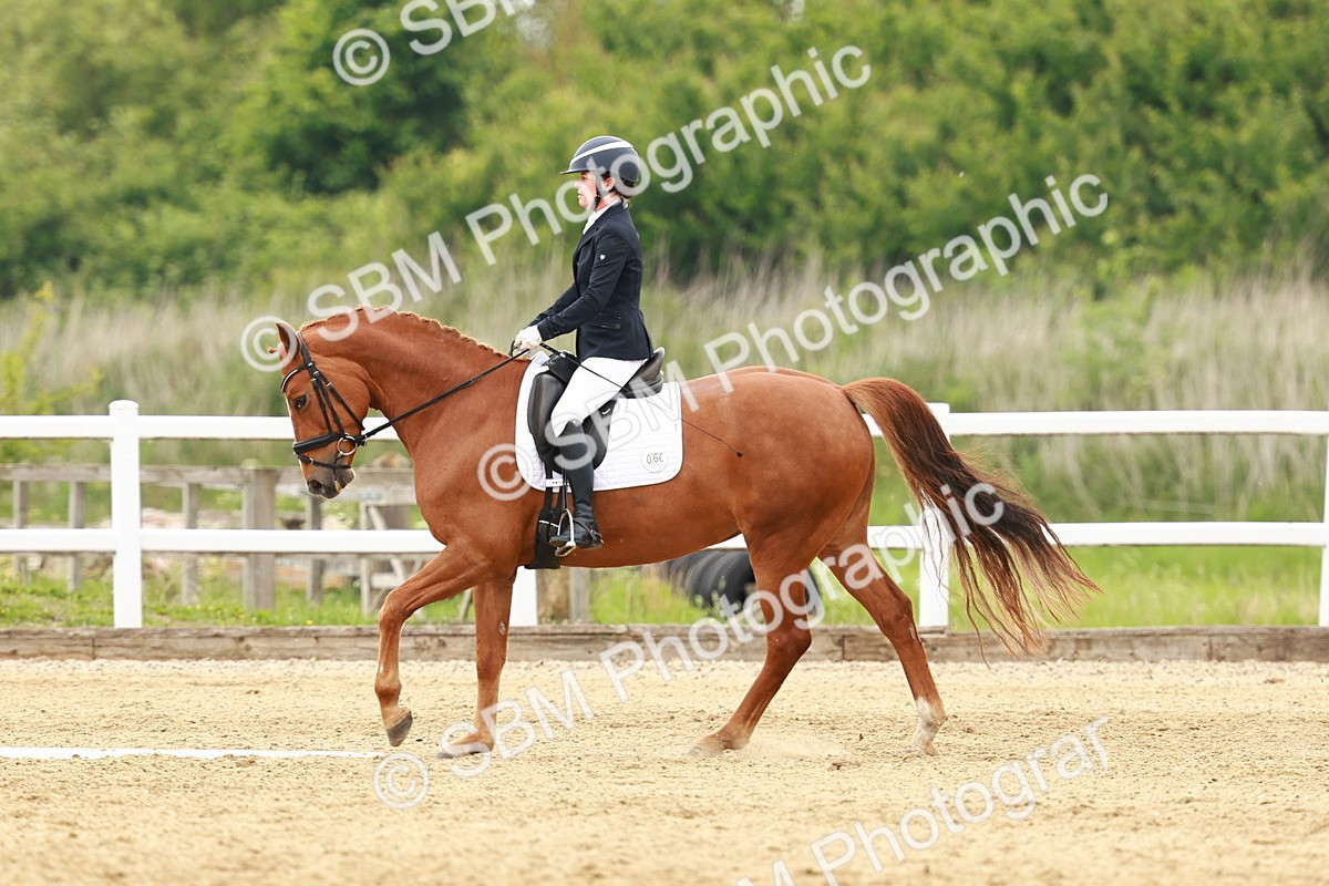 SBM_001345 - Class 7 - Novice 5