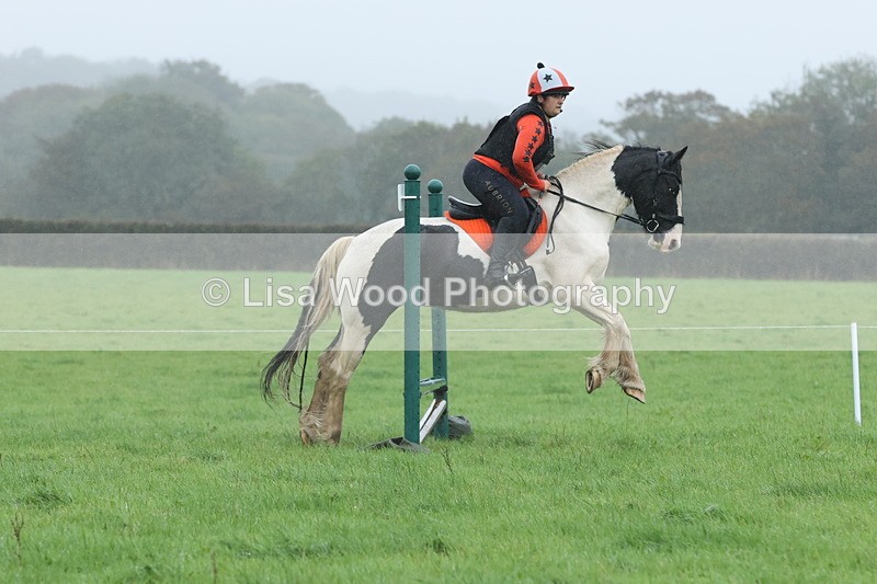 JPP_5129 - Class 1: 65cm : Showjumping