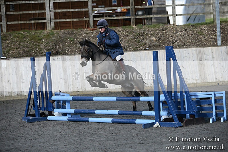 BVRC SJ 170319 3 - Bourne Valley Riding Club Showjumping 17/03/19