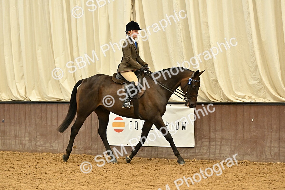 SBM_001984 - Class 24 - BSHA Ridden Racehorse to Show Horse