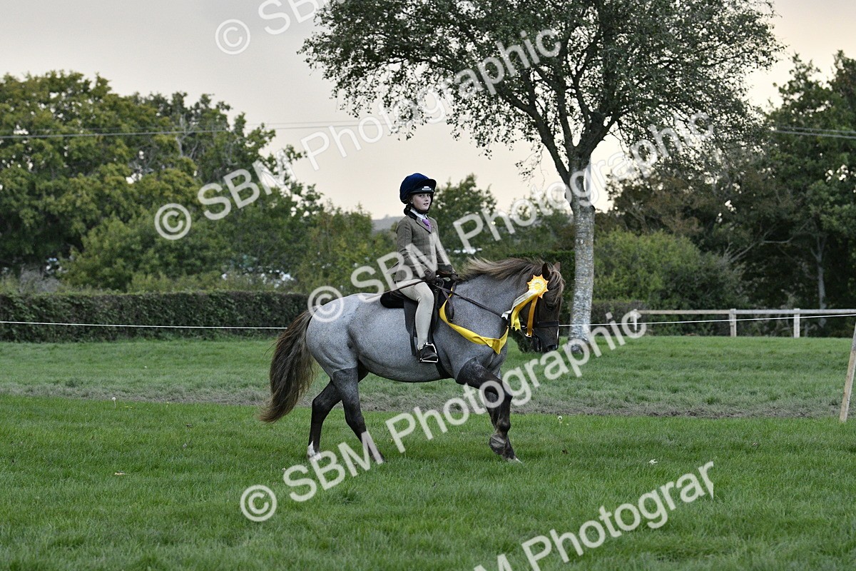 SBM_53303 - S14 - Riding Club Horse