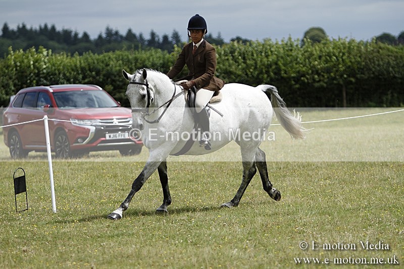 BVR160717-1833 - Ring 3 BVRC Show 16/07/17