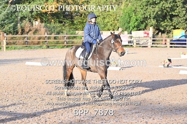 BPP_7878 - LONG ARENA