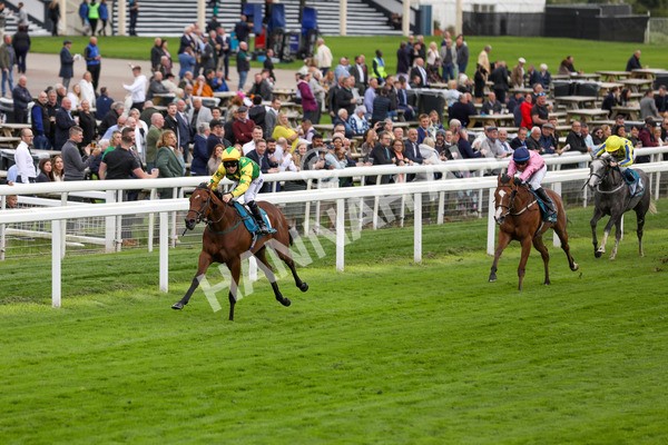 120724-Race 3-Royalty Bay-1674 - Race 3 3.15pm William Hill Keep Your Raceday Positive Irish EBF Fillies' Novice Stakes