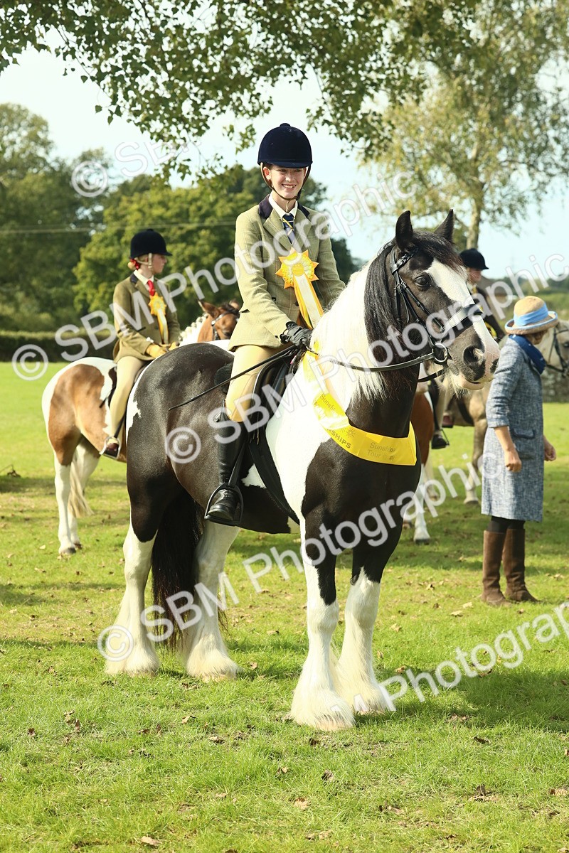 SBM_68974 - S58 - Mini Show Cob Ridden