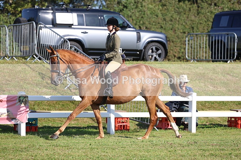 3E7A5533 - Class 2: Rising Star Large Hack/Riding Horse