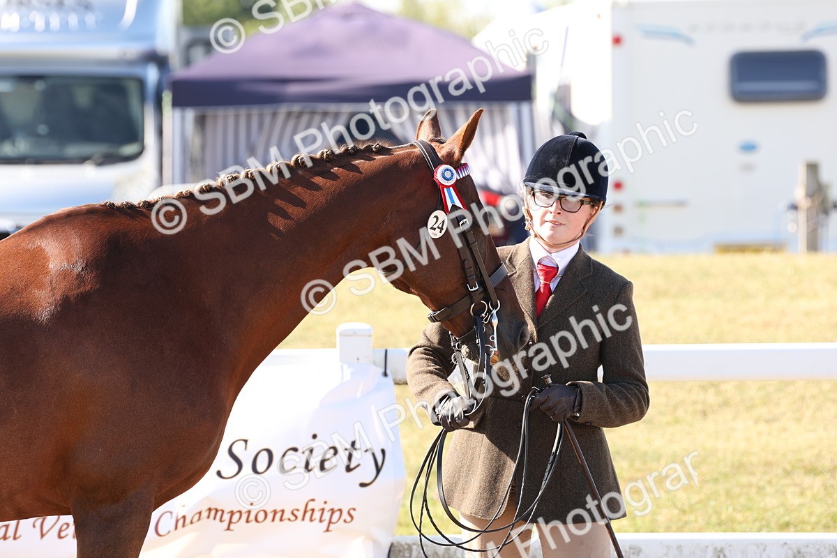 SBM_12831 - Class 205 - IH Show Pony - Show Hunter Pony