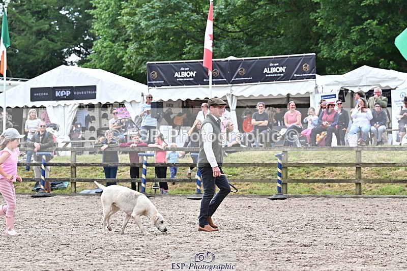 250524A-152851-12797 - East Devon Hounds