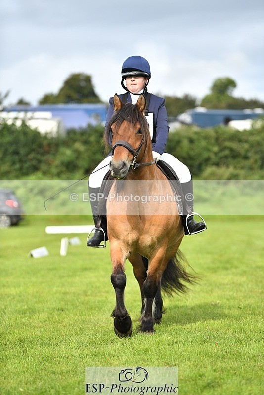 230826-100756-15366 - Sections C & D 10 to End