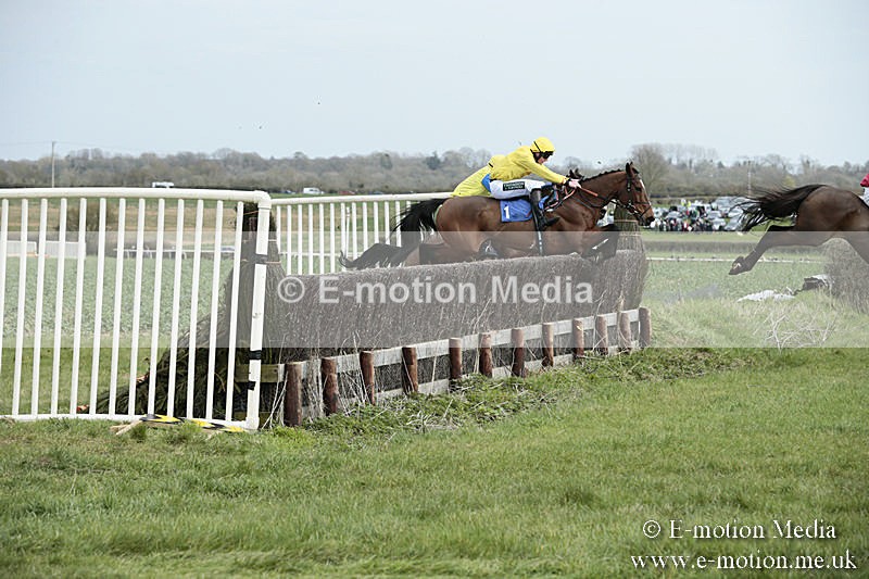 PtP 230319 40 - VWH Hunt Siddington Point-to-Point Racing 23/03/19