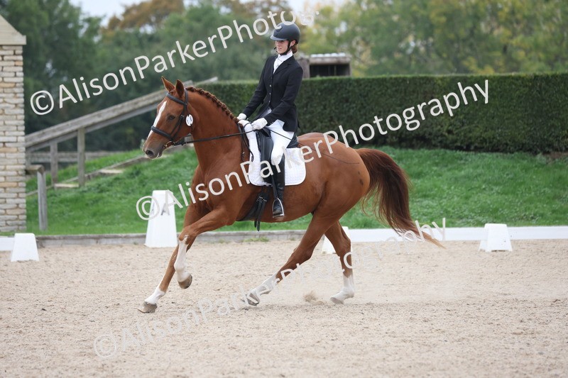 20251011-0553 - Class 6 - Elementary 1