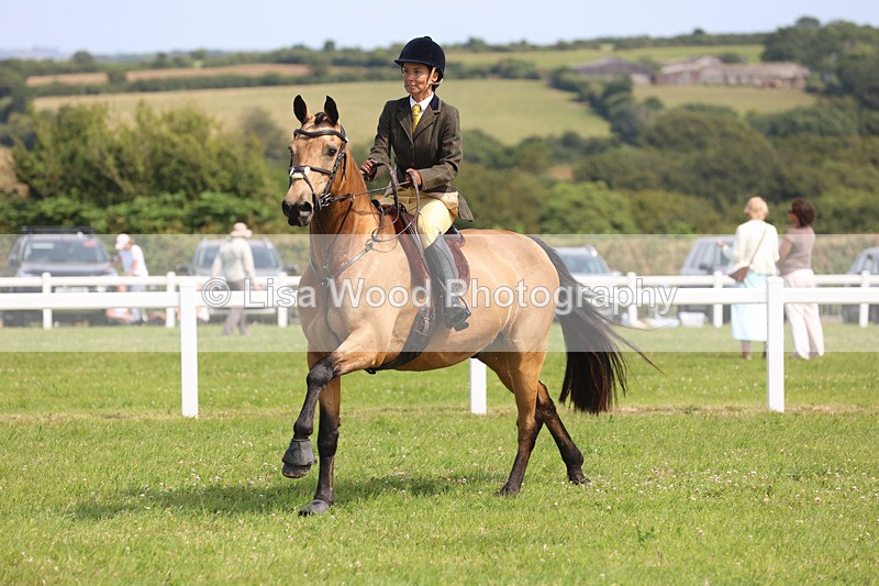 JPP_3727 - Class 23: Working Hunter 80cm