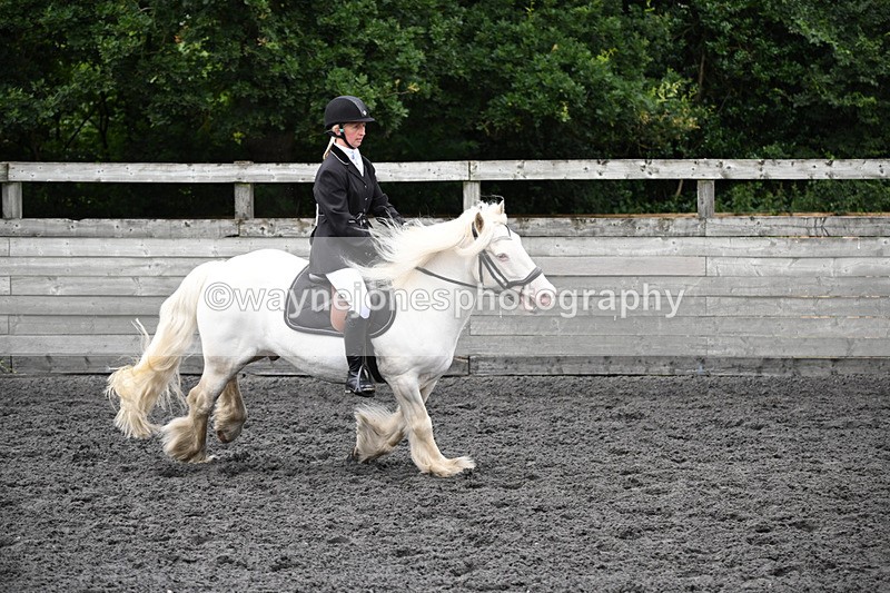WJ6_0254 - Class 13 Novice 60cm