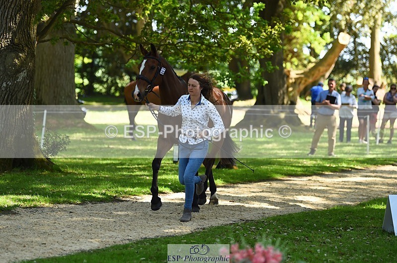 230524-153000-00305 - 352-TEQUILA_SUNRISE-Pippa_Taylor-WEDTrotUp+DR