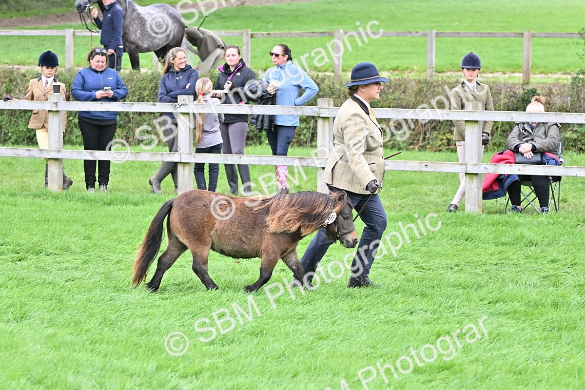 SBM_60935 - S48 - Mountain & Moorland In Hand Small Breeds