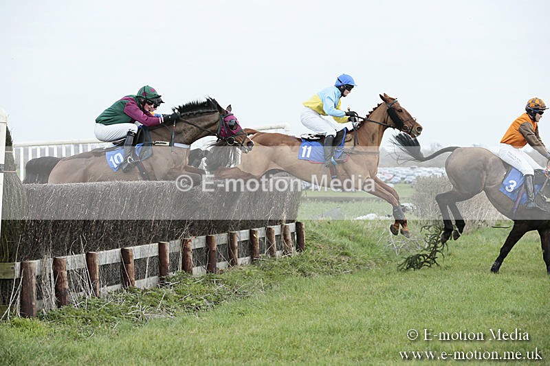 PtP 230319 119 - VWH Hunt Siddington Point-to-Point Racing 23/03/19