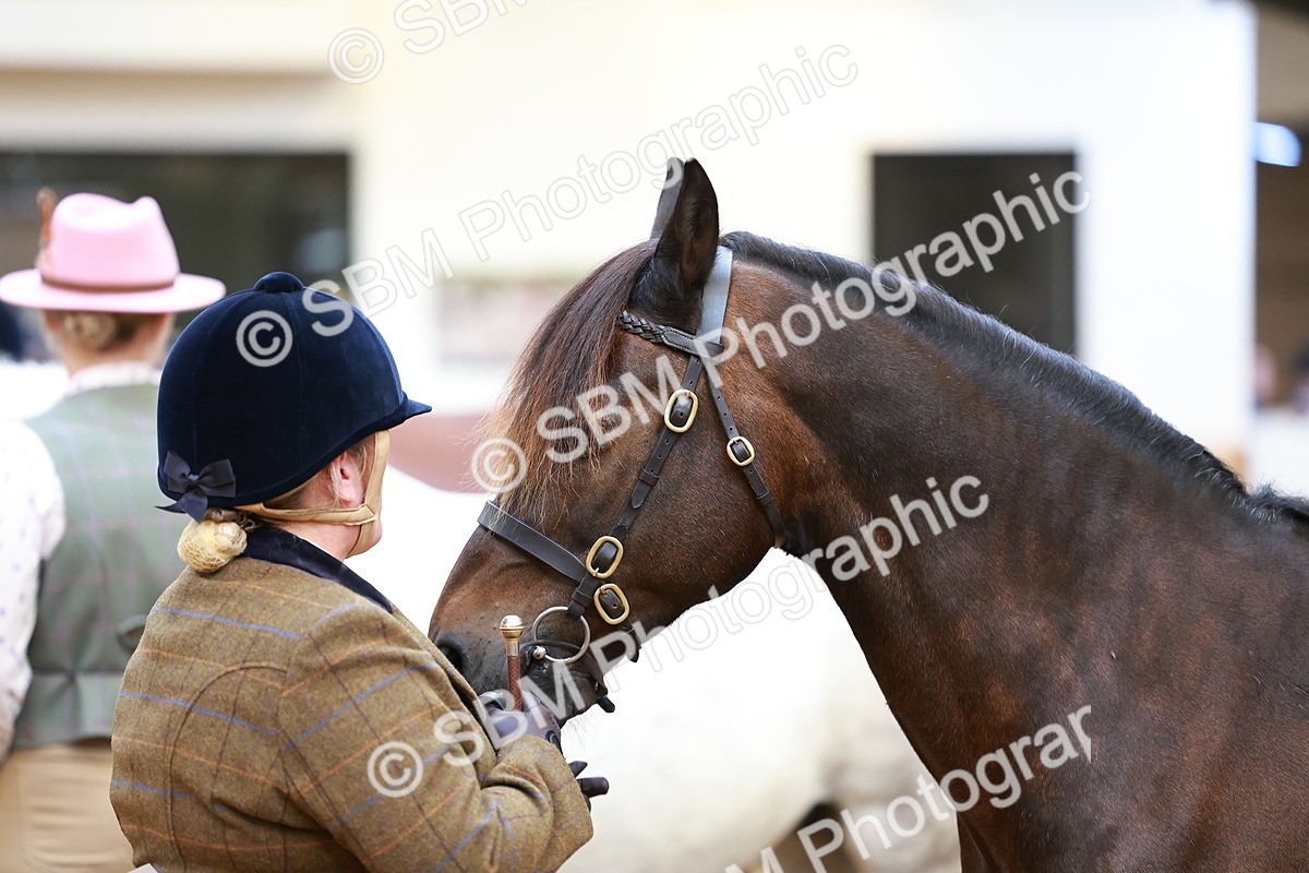 SBM_04151 - Class 9R - IH Pre-Vet