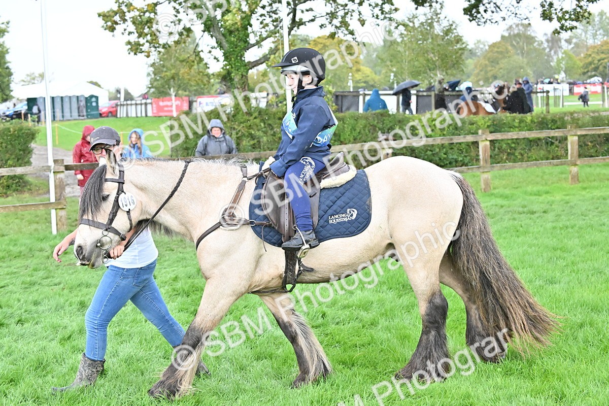 SBM_43006 - S12 - Family Horse & Pony