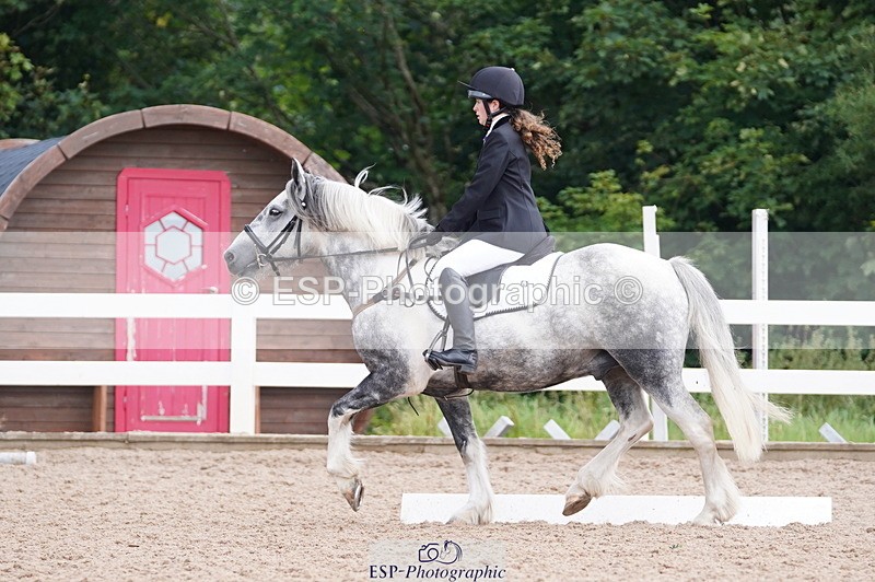 240809A-101706-00470 - Dressage Competition