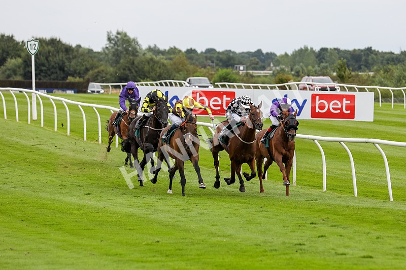 240724-Race 5-Furzig-3600 - Race 5