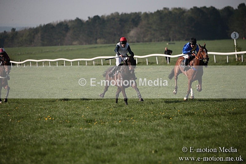 PtP 210418 632 - South & West Wilts Point-to-Point Larkhill 21/04/18