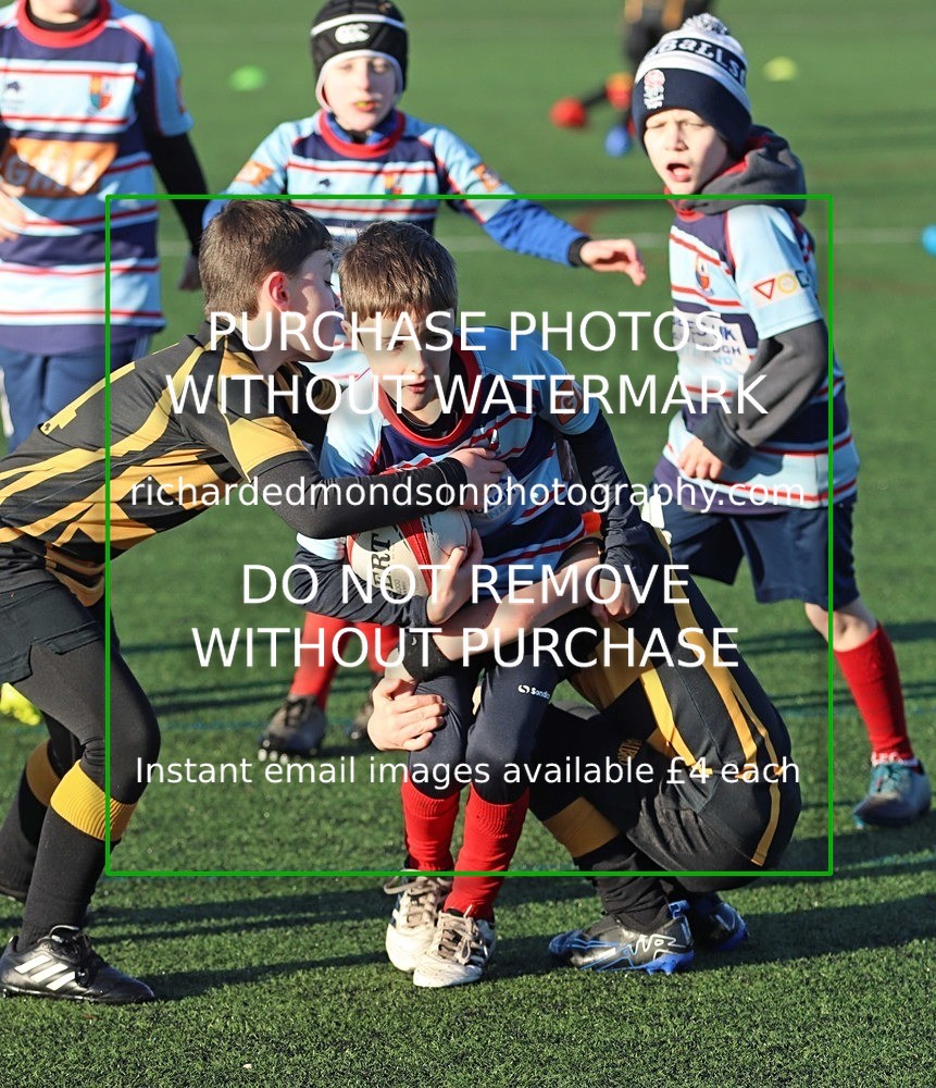 IMG_0045 - Creighton Junior Rugby Gallery 1 (8/1/24)