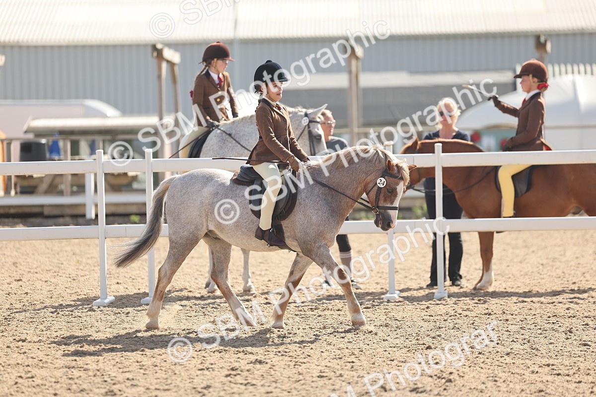 SBM_23117 - Class 806 - Young Rider 10ry and Under