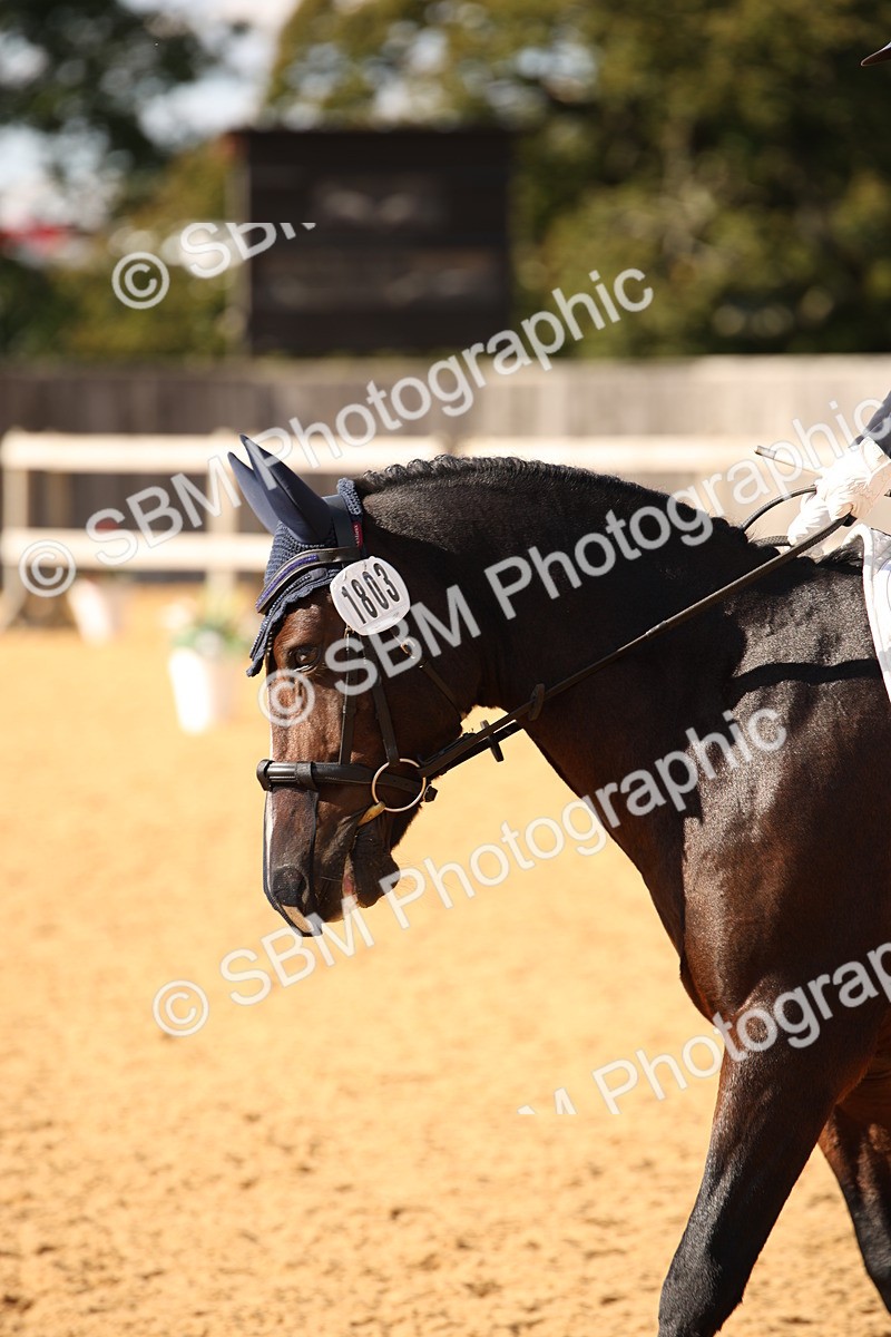 SBM_28188 - D11 - Small Tour Championship - Prelim 13