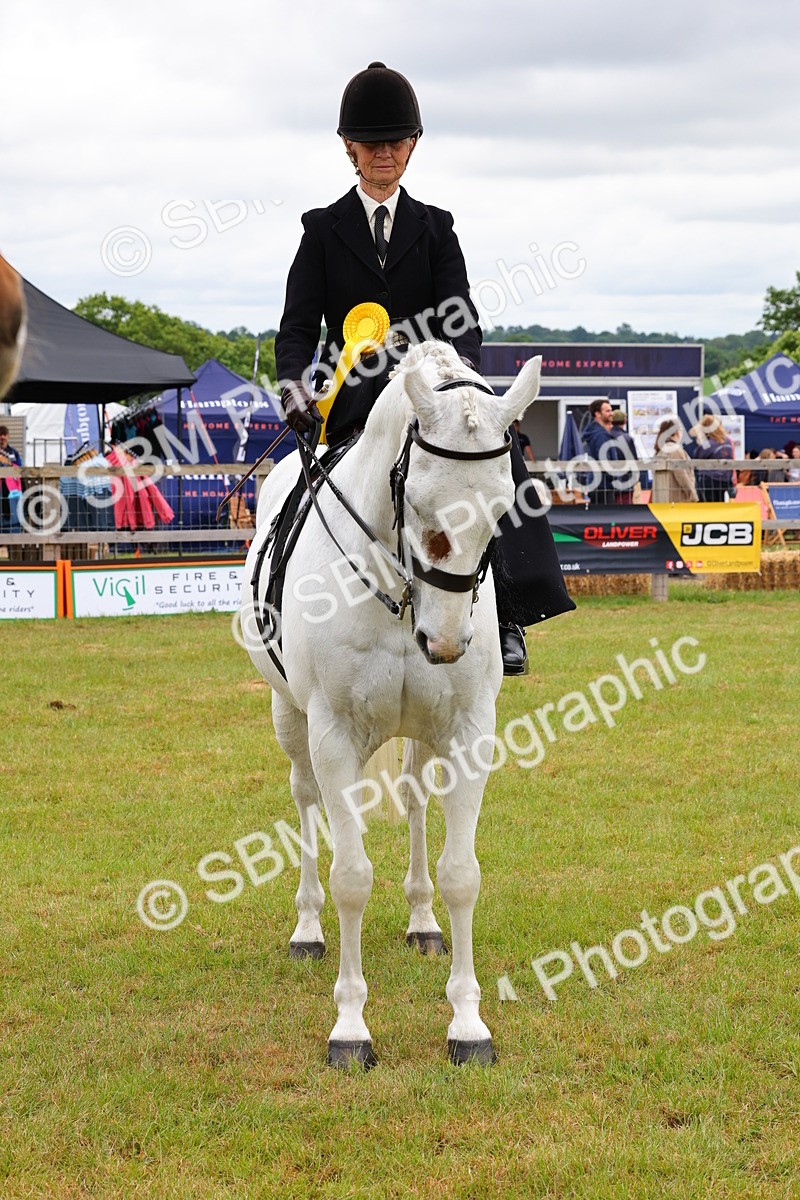 SBM_02975 - Class 9-11 Side Saddle including LIHS Rising Star Ladies Show Horse