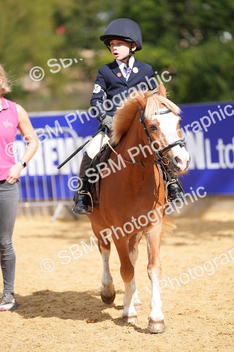 SBM_64508 - J2 - Mini Tour Junior Pony 30cm Championship