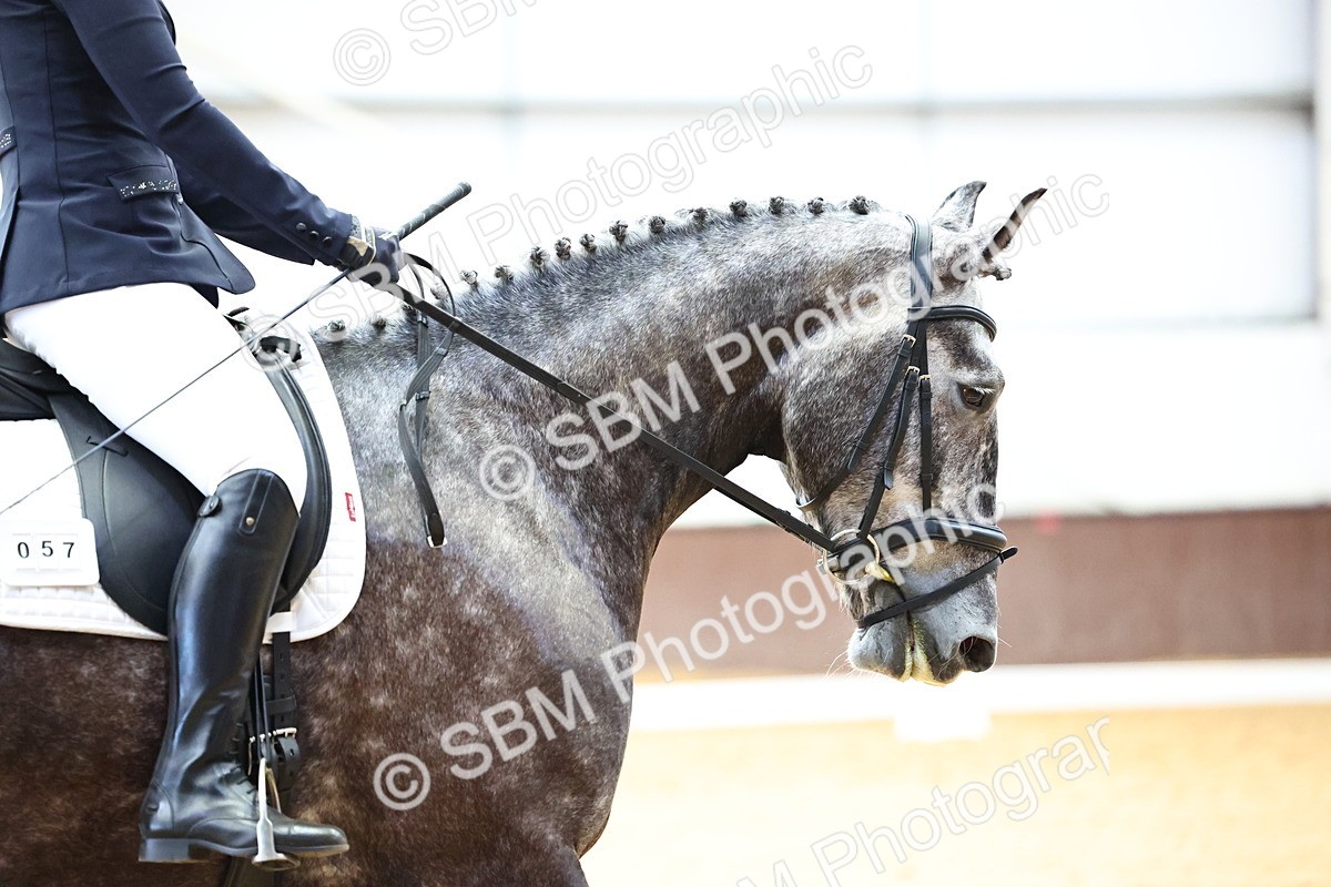 SBM_003423 - Intro 2